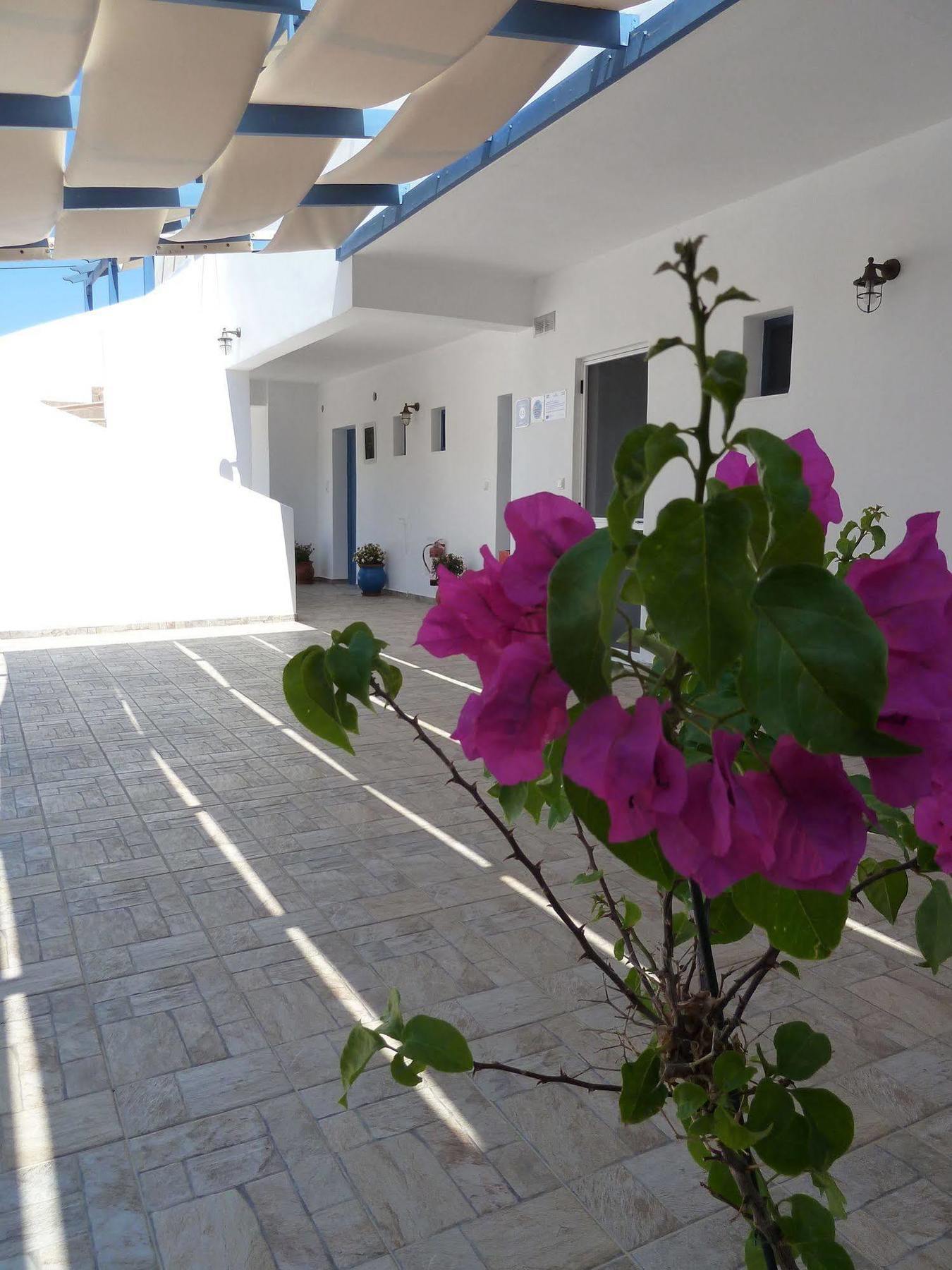 Dedes Apartment Skala (Agistri)